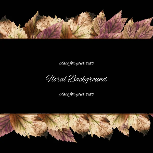 Background texture stone berry leaves and place for text — Stock Photo, Image