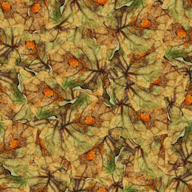 sorunsuz arka plan desen doku büyük kavak yaprağı