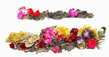 kurutulmuş buruşuk yaprakları para ağacı ve solmuş çiçekler sardunyalar,