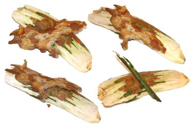 adet çam kabuğu izole nesnesinin seti