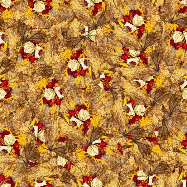 Textura padrão de fundo sem costura de folhas enormes de álamo wi — Fotografia de Stock