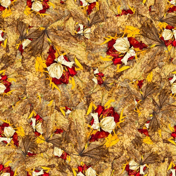 Textura padrão de fundo sem costura de folhas enormes de álamo wi — Fotografia de Stock