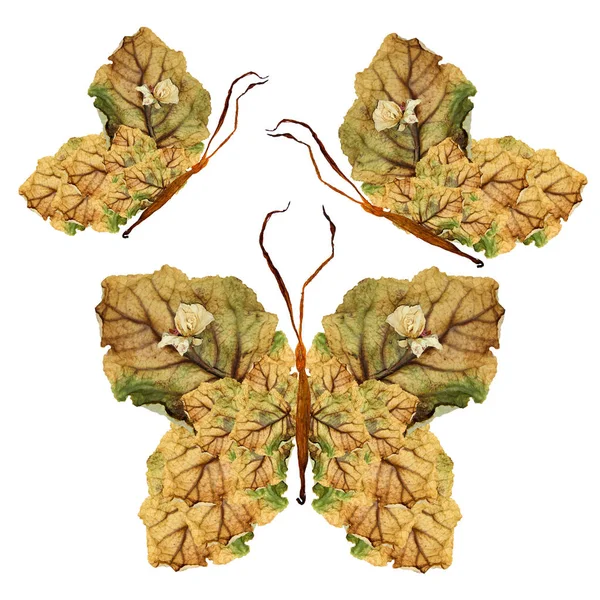 Bloemen vlinder gemaakt van de droge bladeren en bloemen — Stockfoto