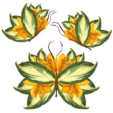 Zambak yaprakları yaprakları ve çiçekleri çiçek kelebek yapılmış