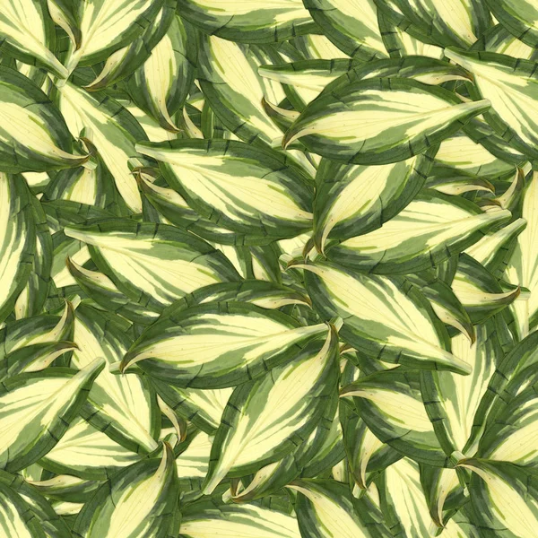 Textura de fundo sem costura padrão feito de folhas — Fotografia de Stock