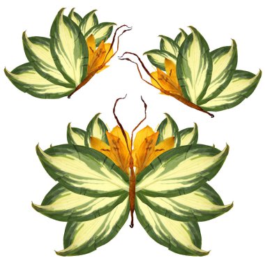 Zambak yaprakları yaprakları ve çiçekleri çiçek kelebek yapılmış