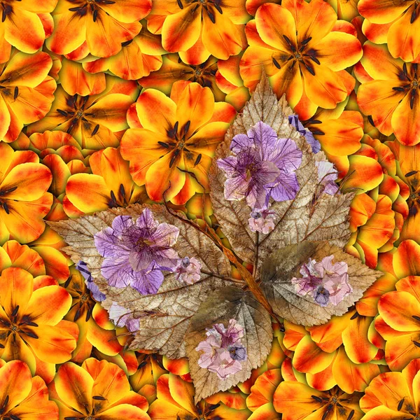 Fondo hecho de mariposas de varias flores — Foto de Stock