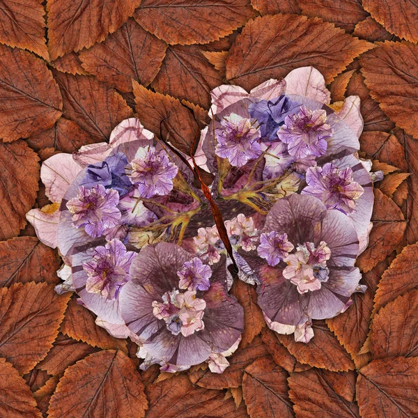 다양 한 꽃의 나비로 만든 배경 — 스톡 사진
