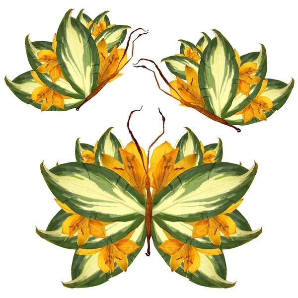 Zambak yaprakları yaprakları ve çiçekleri çiçek kelebek yapılmış