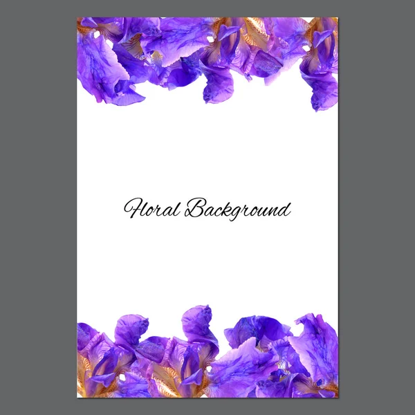 Background texture made of iris and place for text — Stock Photo, Image