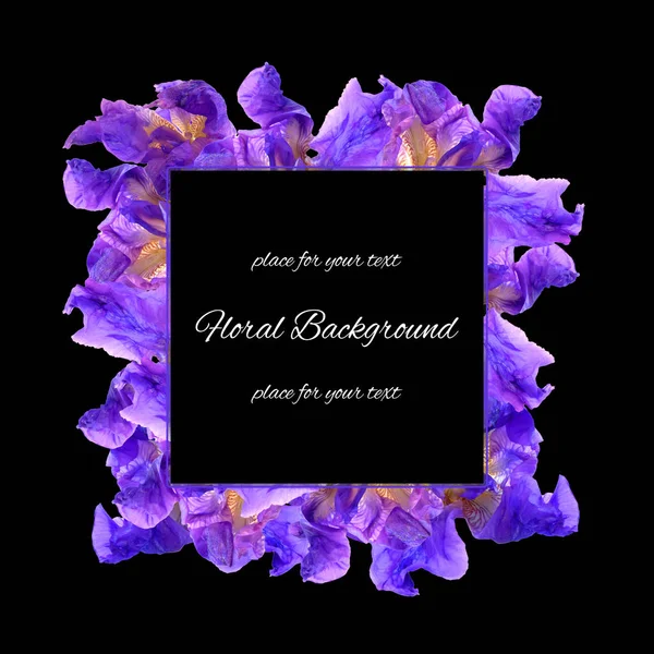 Background texture made of iris and place for text — Stock Photo, Image