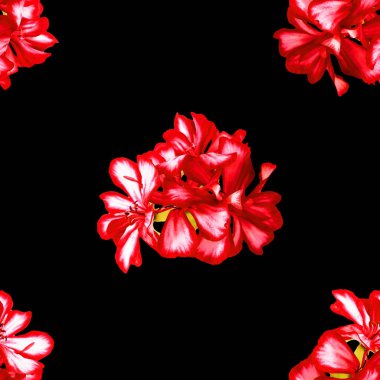 arka plan doku Sardunya yapılan