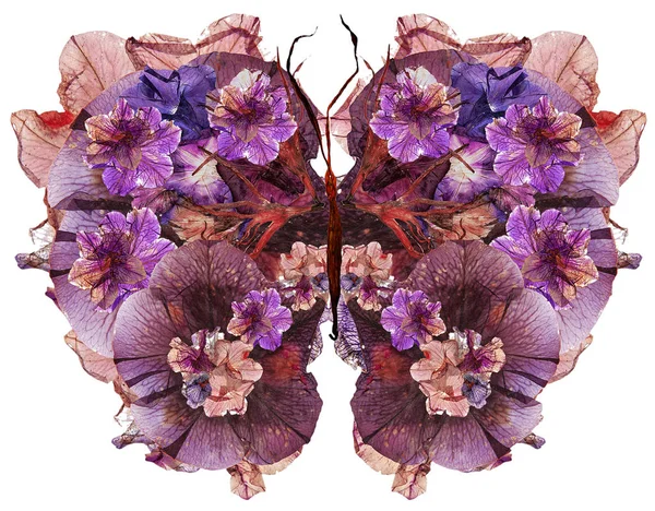 Floral butterfly vyrobené sušené lilie okvětní lístky stisknutí Petúnie květ — Stock fotografie