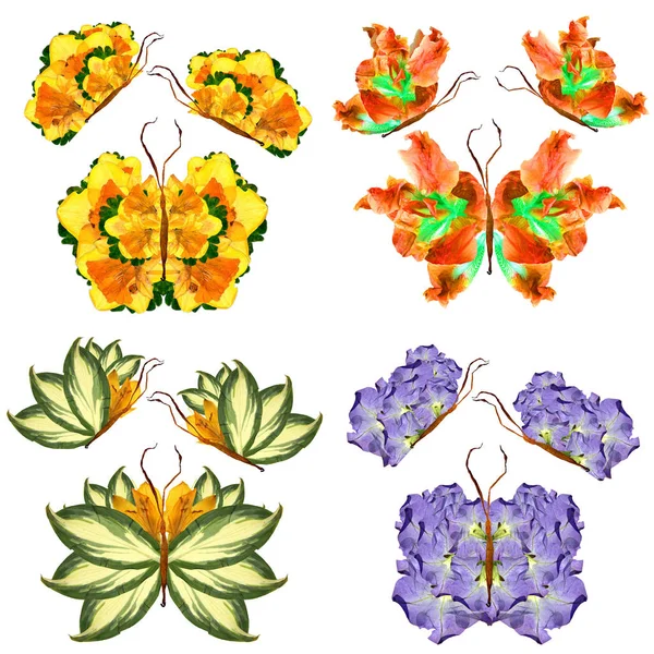 Papillon floral composé de pétales de lis feuilles et fleurs — Photo