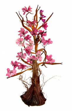 Kurutulmuş zambak yaprakları ve preslenmiş çiçek sardunyalar