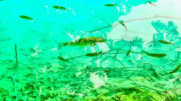 Pintura acuarela. peces pequeños en el río del arroyo de montaña . — Foto de Stock