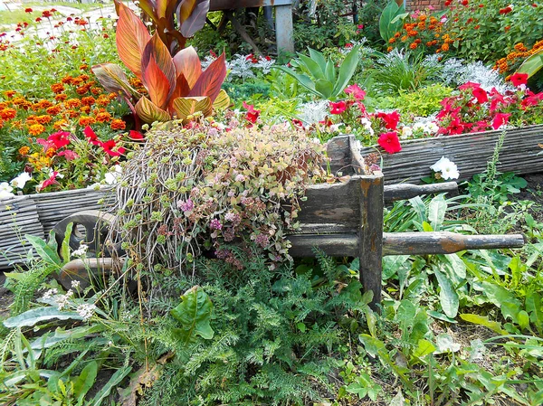 Bed wagon with multicolor flowers — Stock Photo, Image