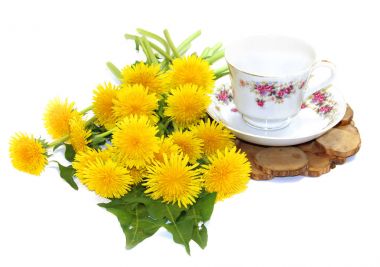 Taze dandelions sarı şapka bir çay çifti yakınındaki bir buket 