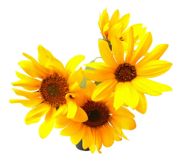 光の柔らかい空気の花びらが飛んで周り新鮮な黄色のヒマワリ — ストック写真