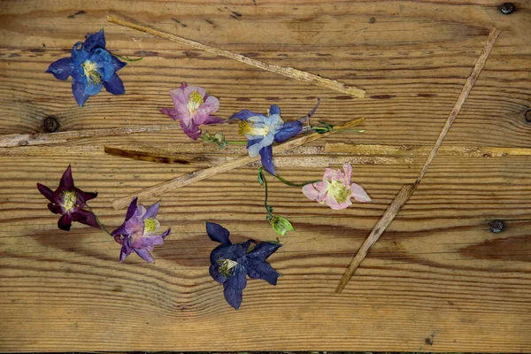 Dried wilted flowers on a  dark wooden surface