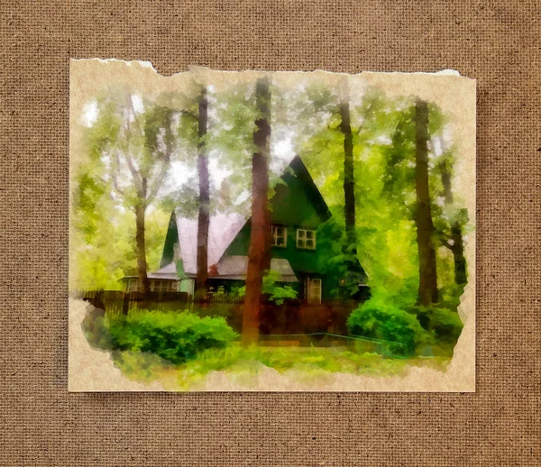 一个舒适的木屋藏在灌丛高而细的松林间 — 图库照片