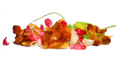 Petrol beraberlik boya kuru narin çiçekler, yapraklar ve yaprakları, izole