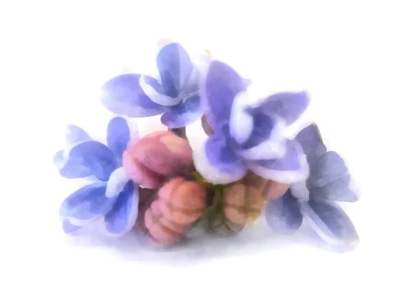 Blaues Fliederöl zeichnen Perspektive, malen frische zarte Blumen ein — Stockfoto