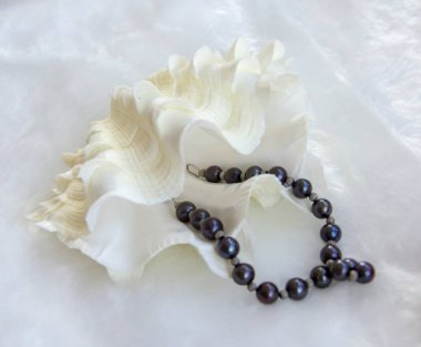 Beyaz kabuklu deniz hayvanı kabuğu tabut ve siyah inci bileklik 