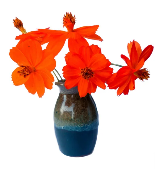 Flor purslane em vaso cerâmico pequeno isolado em branco digital — Fotografia de Stock