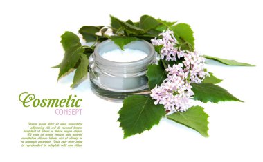 Doğal krem ve taze huş brunch yeşil lea ile konteyner