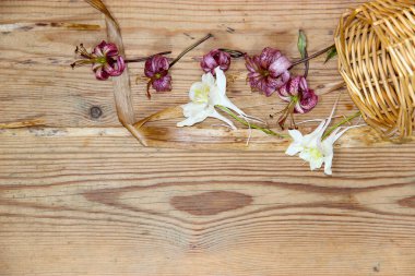 Kurutulmuş solmuş lilyum ve beyaz aquilegia düşmüş wi dağınık