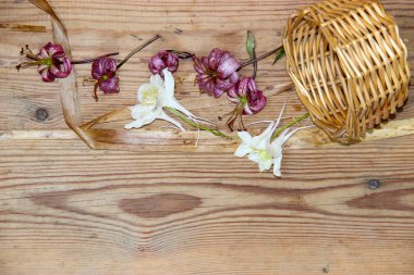 Kurutulmuş solmuş lilyum ve beyaz aquilegia düşmüş wi dağınık