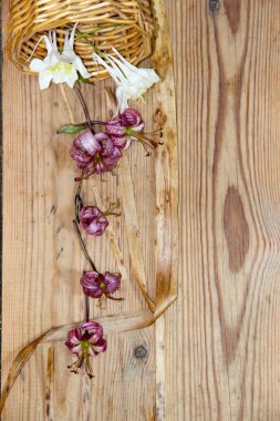 Kurutulmuş solmuş lilyum ve beyaz aquilegia düşmüş wi dağınık