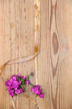Koyu ahşap yüzey üzerinde kurutulmuş taze pembe karanfil