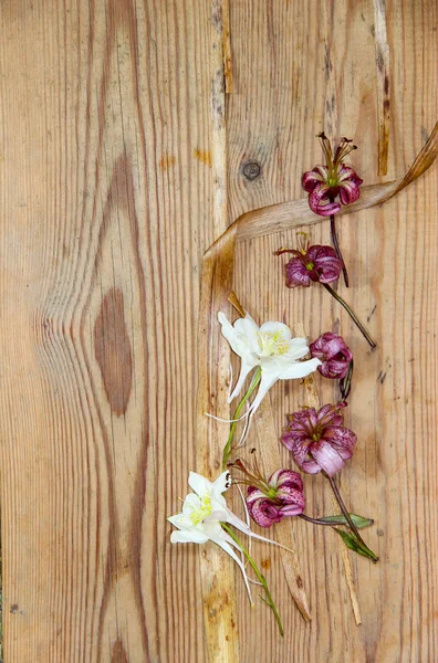 Kurutulmuş solmuş lilyum ve koyu ahşap surfac üzerinde beyaz aquilegia