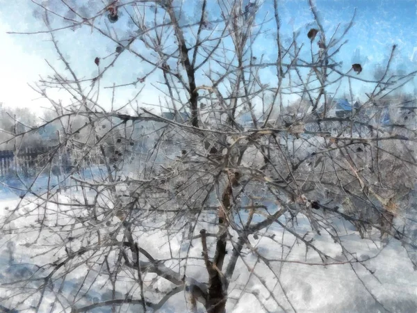 Ein klarer Wintertag, eine ländliche Landschaft mit einer rustikalen Gartendecke — Stockfoto