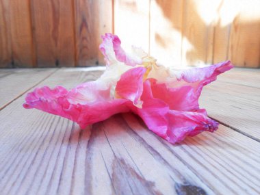 Glayöl çiçek ahşap arka plan beyaz dijital boyama