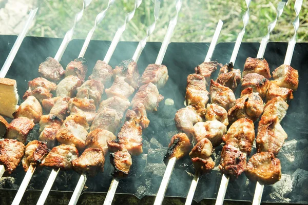 Barbecue sulla griglia in estate all'aperto, bella succulenta — Foto Stock