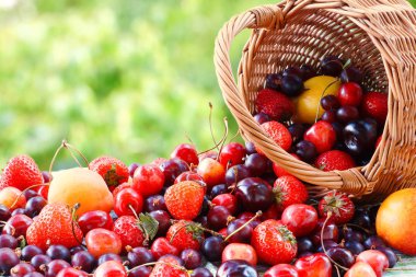Çilek, kayısı, kiraz, bektaşi sepetten döktü. Yaz natürmort.