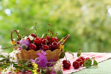Kiraz bir sepet ve orman çıtır. Yeşil arka plan bulanık.