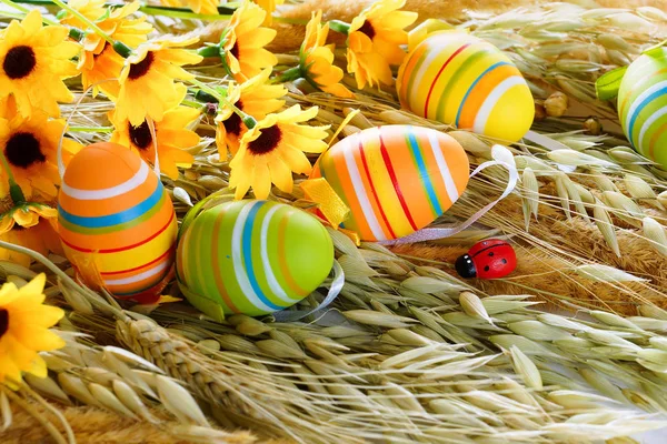 Jaja Wielkanocne Kwiaty Pole Trawa Wielobarwny Jaj Suchej Trawy — Zdjęcie stockowe