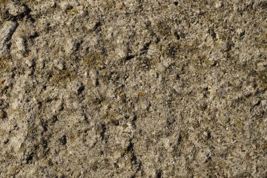 Beton sütunun yüzeyinde bir kalıp var.