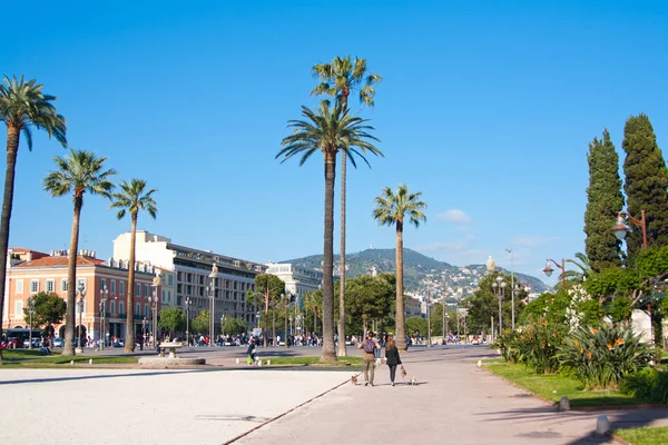 Palm trees in Nice. Cote d'Azur. Mediterranean resort. France. — Stock Photo, Image