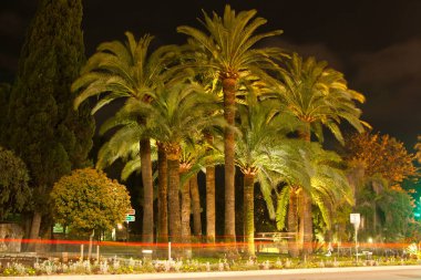 Nice oteli gece görünümü palmiye ağaçları. Cote d'Azur. Akdeniz resort. Fransa.