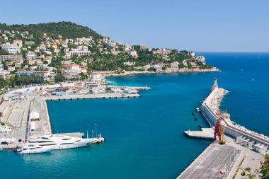 Nice palmiye ağaçları. Cote d'Azur. Akdeniz resort. Fransa.