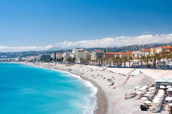 Palm trees in Nice. Cote d'Azur. Mediterranean resort. France. — Stock Photo, Image