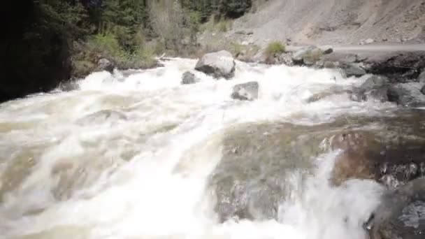 Mountain river i soliga dag — Stockvideo