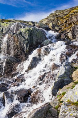Trolltunga, Troll'ın dil Odda Ringedalsvatnet Gölü, Norveç için yaz yolculuk.