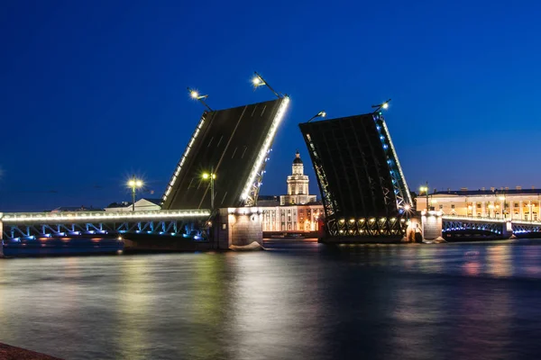 在对 Kuntskamera，俄罗斯圣彼得堡的白夜 wiev 离婚的宫桥。2010 年 7 月 3 日 — 图库照片
