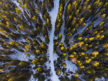 Kış ormanı manzaralı yol. Güneşli bir günde güzel bir hava manzarası. Kar, her zaman yeşil çam ağaçları arasında dağları ve karlı patikaları kaplar. Drone 'dan ateş edilmiş. Doğa Parkı, Kuzey Karelia. Rusya Avrupa